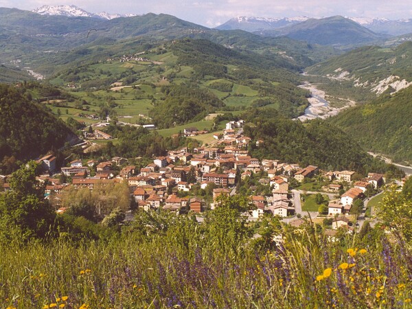 Immagine Vetto 